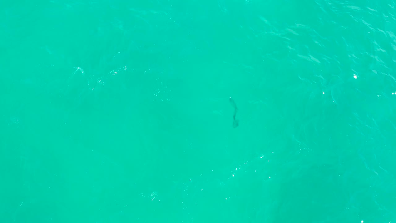 Clear turquoise water with small ripple highlights