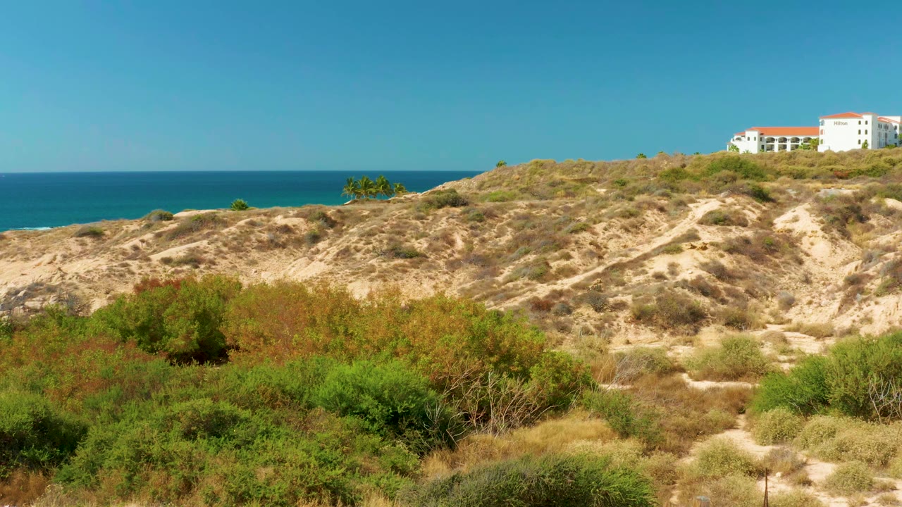 Hilton Los Cabos coastal dunes with mixed scrub in front, blue ocean behind the sandy hill, a white red-roofed building near the upper right, and no visible people.