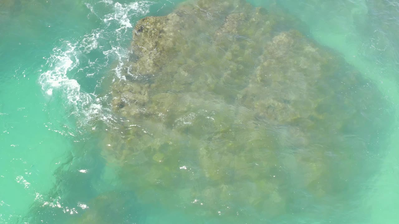 A large submerged rock sits under clear turquoise water at Hilton Los Cabos, Mexico, while a small white foam line drifts near the upper left and no people are visible.