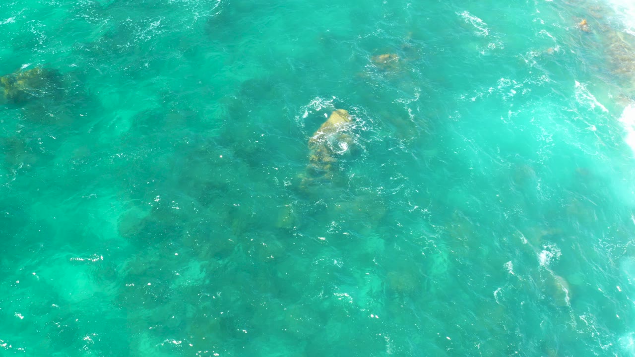 Overhead view at Hilton Los Cabos of turquoise water revealing submerged rocks, with a small white bird splashing near the center and no visible people.
