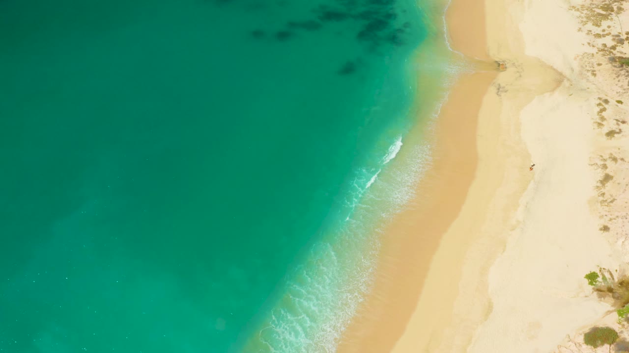 High overhead beach view at Hilton Los Cabos, Mexico with clear green-blue ocean, a curving sand strip, small foam marks, and no visible people.