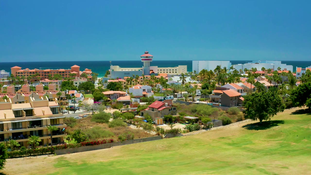Residential coastal view with yellowing grass, rooftops, palm trees, ocean, and blue sky.