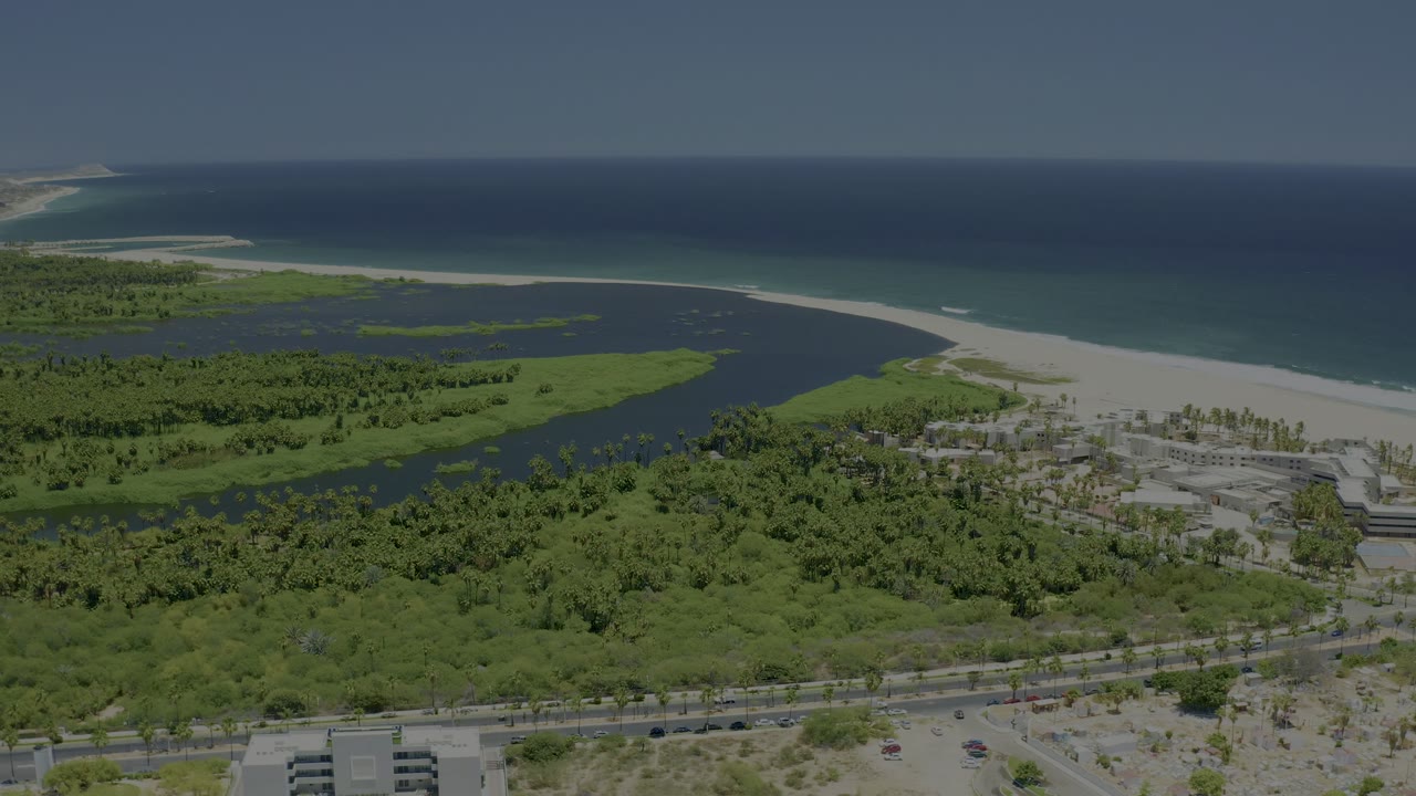 A high aerial view in San Jose Del Cabo centers the curving inlet and wet green land, with pale beach and blue ocean behind and small cars visible on the foreground road, with no visible people.