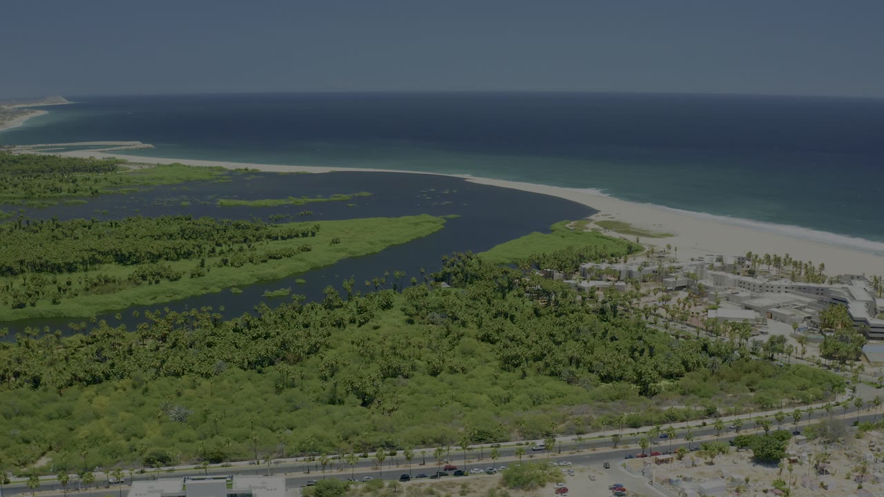 Drone view of estuary mouth, sandy beach, trees, and road traffic