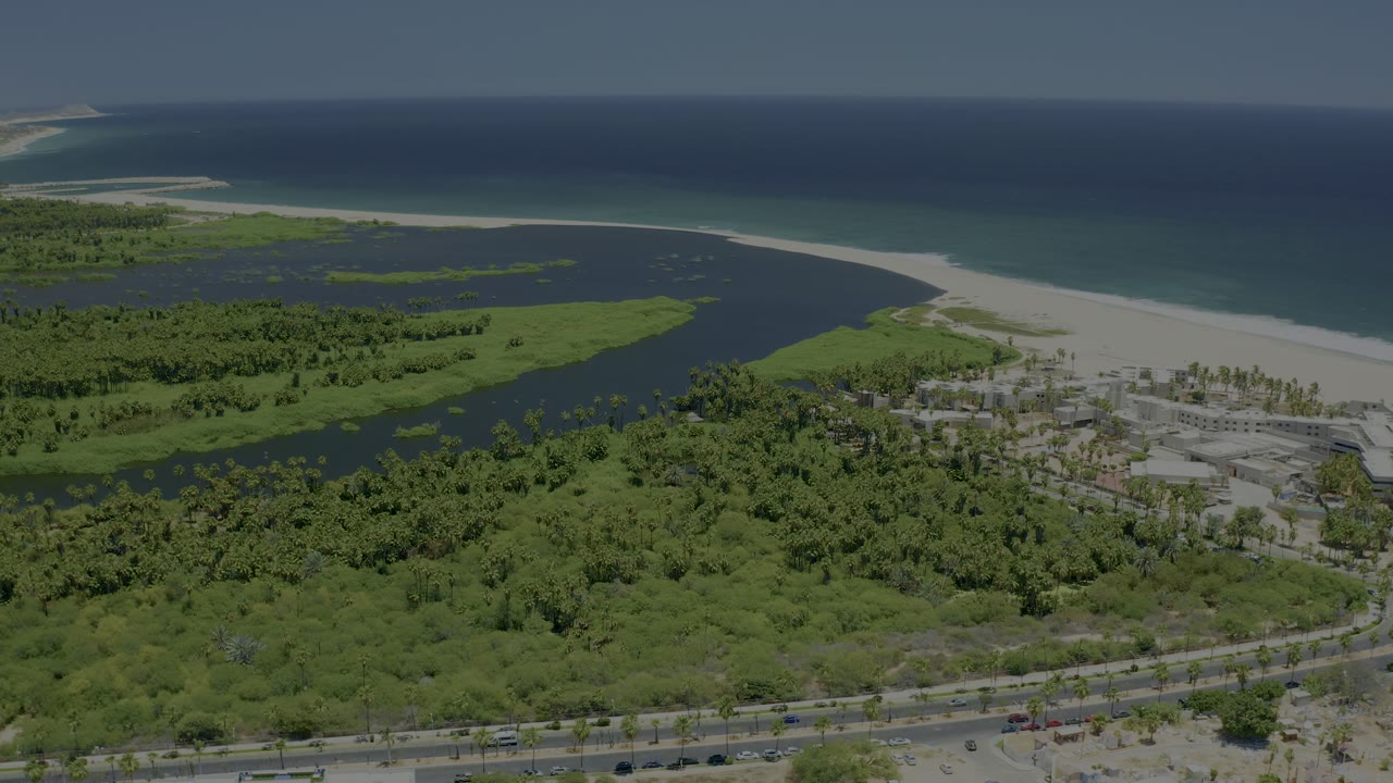 High aerial view in San Jose Del Cabo with the traffic road along the lower edge, green tree cover in the center, dark inlet water, pale beach, and blue ocean, with no visible people.