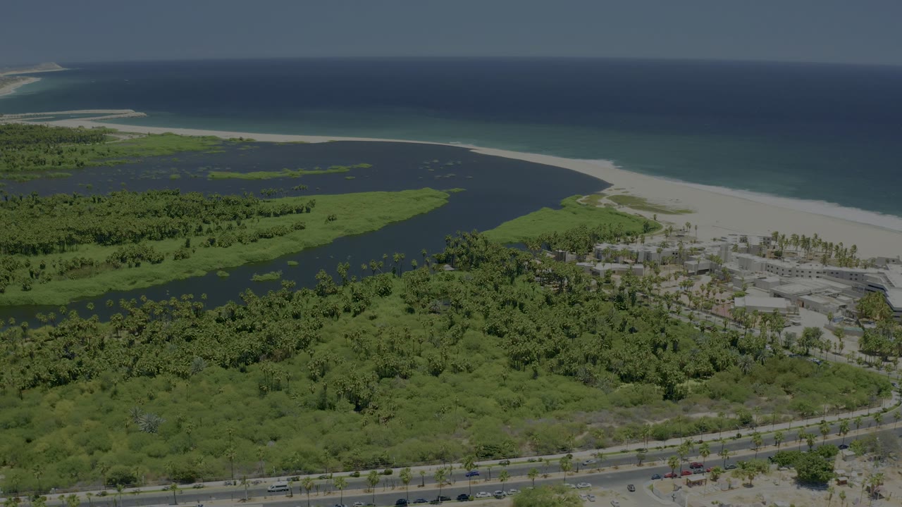 Wide aerial frame over San Jose Del Cabo showing vehicles on a road in the foreground, low buildings partly surrounded by trees, an inlet, sandy shoreline, and ocean horizon, with no visible people.