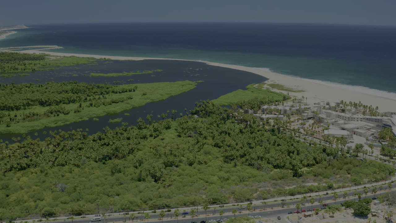 Coastal aerial view with vehicle traffic, green tree canopy, inlet water, beach, and ocean.