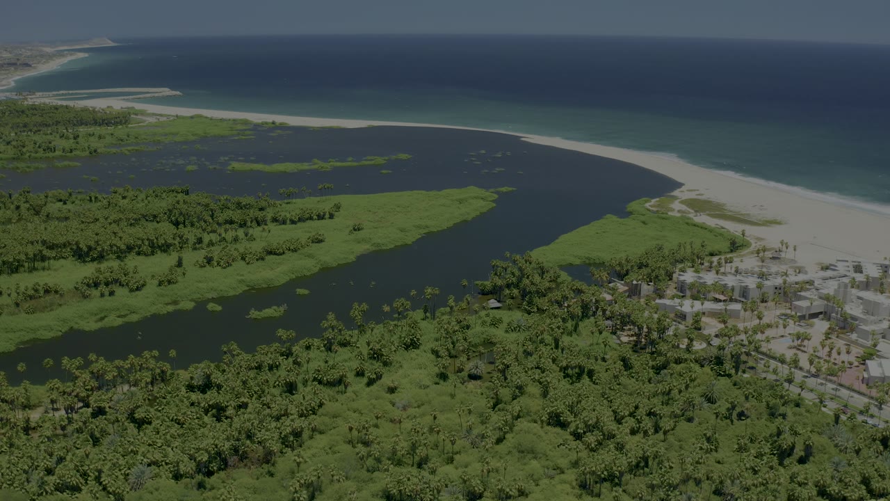 San Jose del Cabo aerial view with green mangroves filling the foreground, a dark river opening toward a sandy beach, blue ocean beyond, and no visible people.