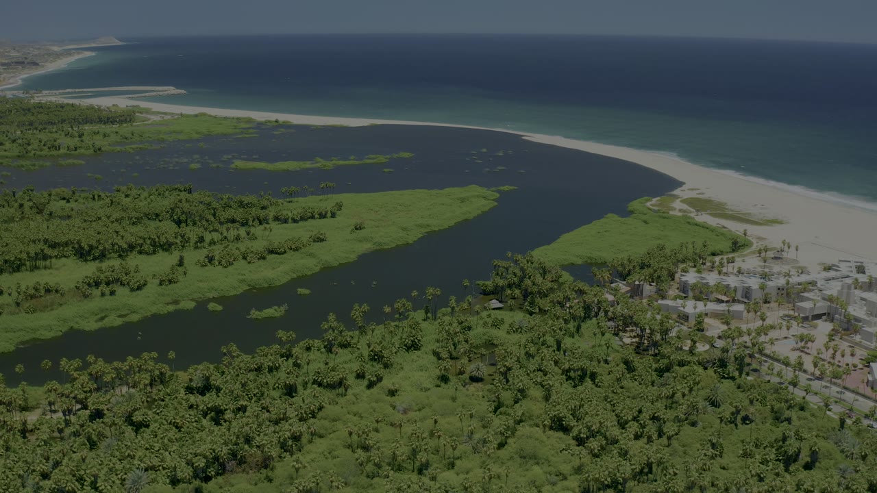 Aerial San Jose del Cabo frame with mangrove vegetation, calm dark water, a curving sandbar-like beach edge, blue sea, and no visible people.