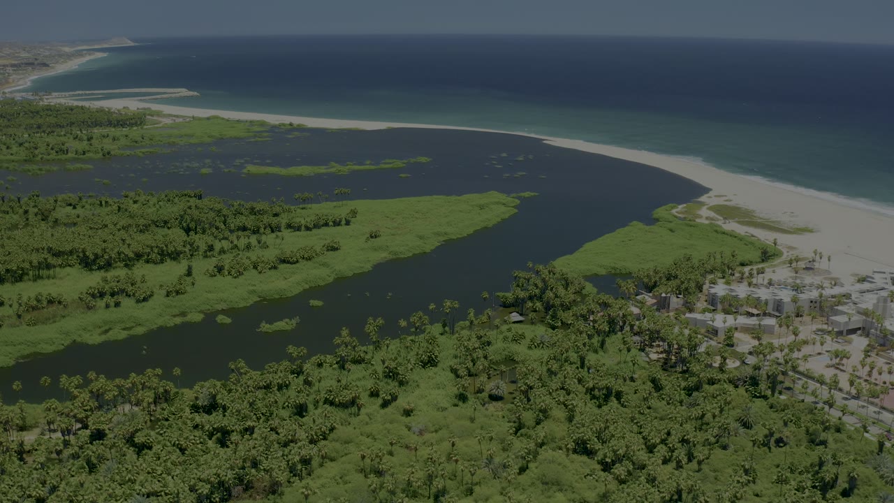 Coastal river channel bordered by mangroves and beach.