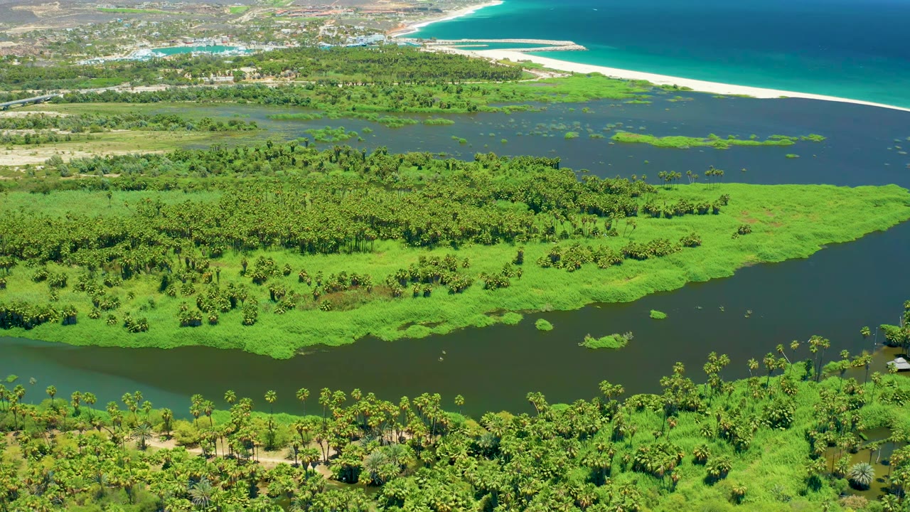 San Jose del Cabo aerial frame with bright green marsh vegetation in the foreground, a dark lagoon-like channel across the middle, and a pale beach along blue ocean, with no visible people.