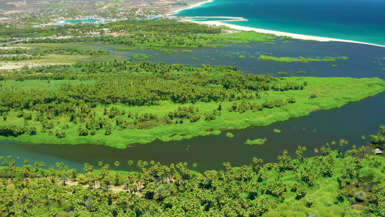 Wide San Jose del Cabo drone view showing layered green wetlands, dark water, a thin sandy beach, and turquoise-to-blue ocean near the horizon, with no visible people.