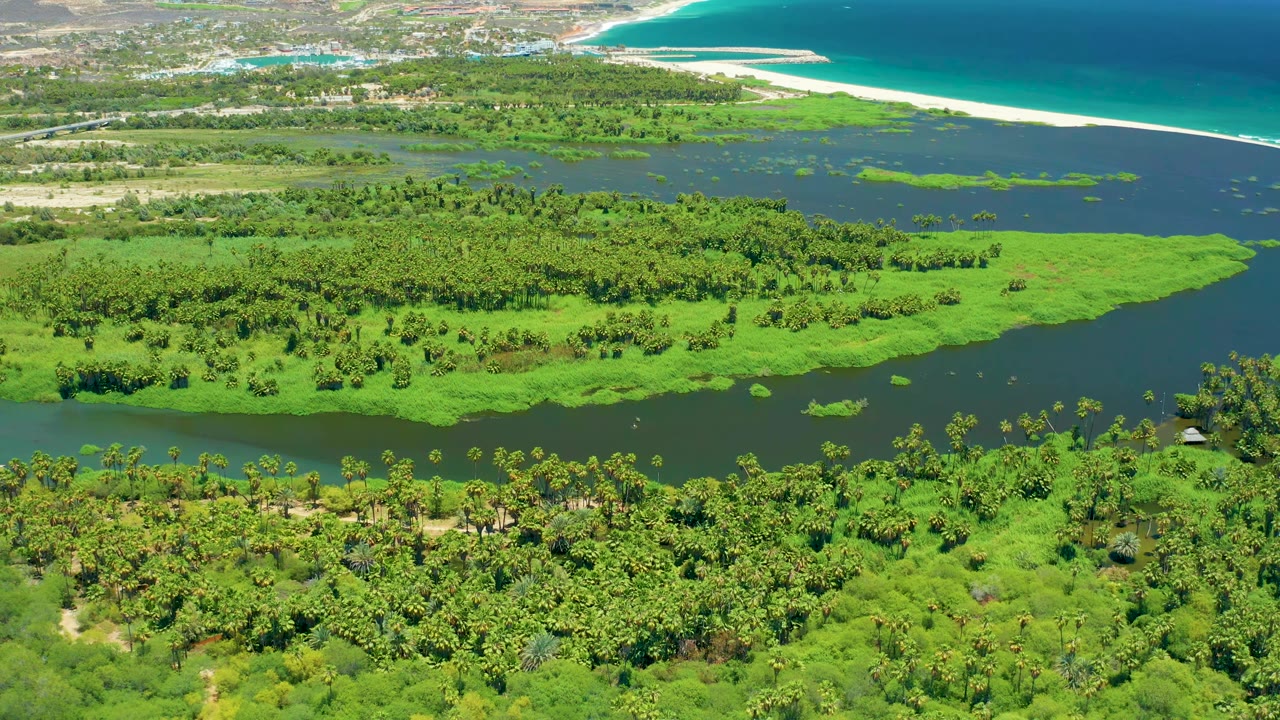 Aerial view in San Jose del Cabo with the river channel running across the lower frame, thick green vegetation in the midground, and a pale beach separating wetland water from the blue ocean, with no visible people.