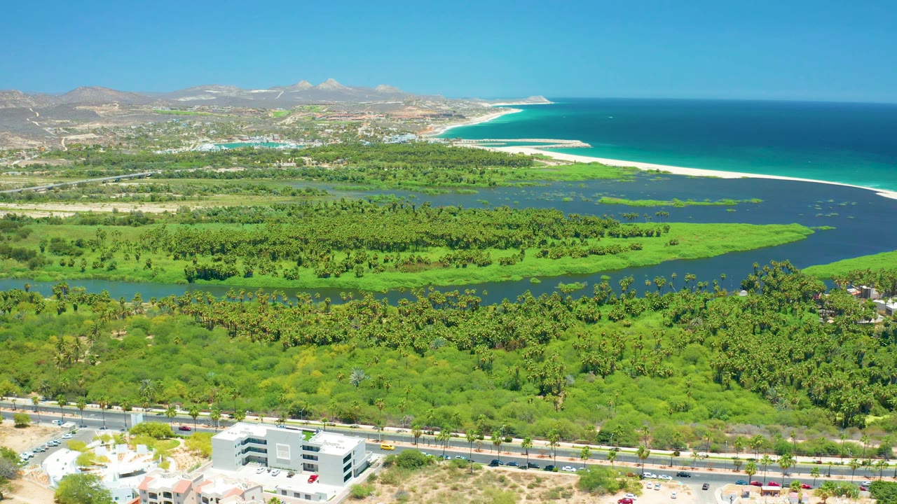 San Jose del Cabo aerial frame with dense green wetland and palms across the center, a roadway with vehicles below, pale beach and turquoise-blue ocean behind, and no visible people.
