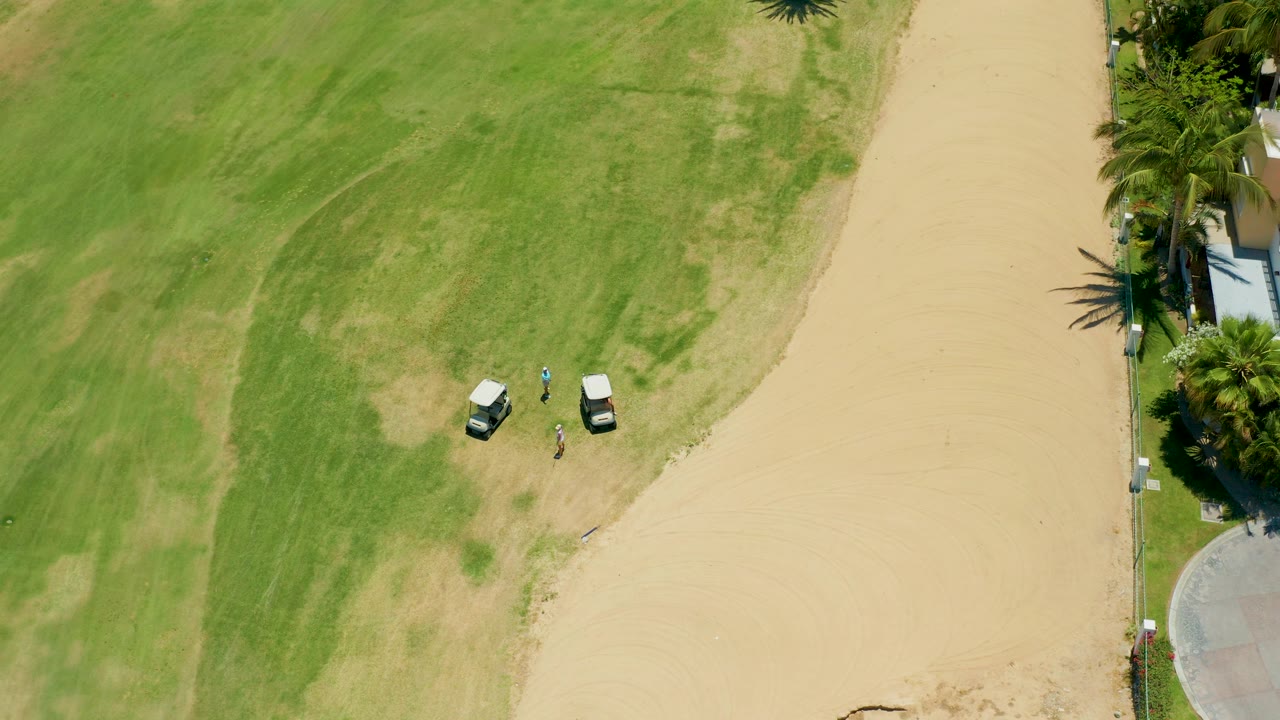 Overhead San Jose del Cabo view with the carts slightly separated on the grass, a person nearby, beige sand to the right, and palms along a narrow paved border.