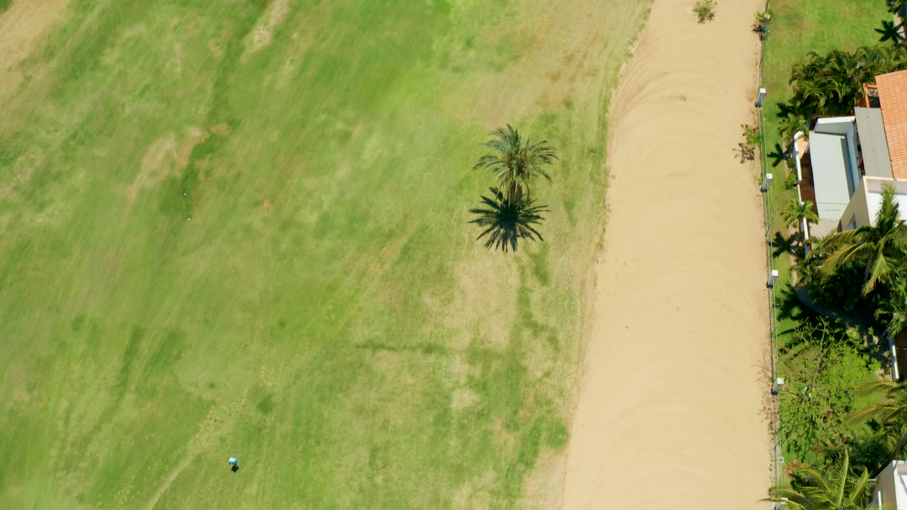 A high aerial frame over San Jose Del Cabo shows patchy green grass, a pale dirt path at right, palm shadows, and the edge of a residence with no visible people.
