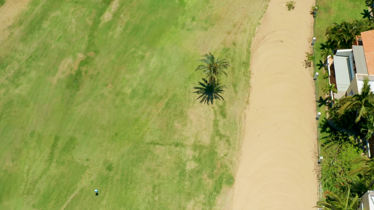 The second frame holds a top-down San Jose Del Cabo view of the grass field, the tan path, palms along the property edge, and a partial house roof with no visible people.