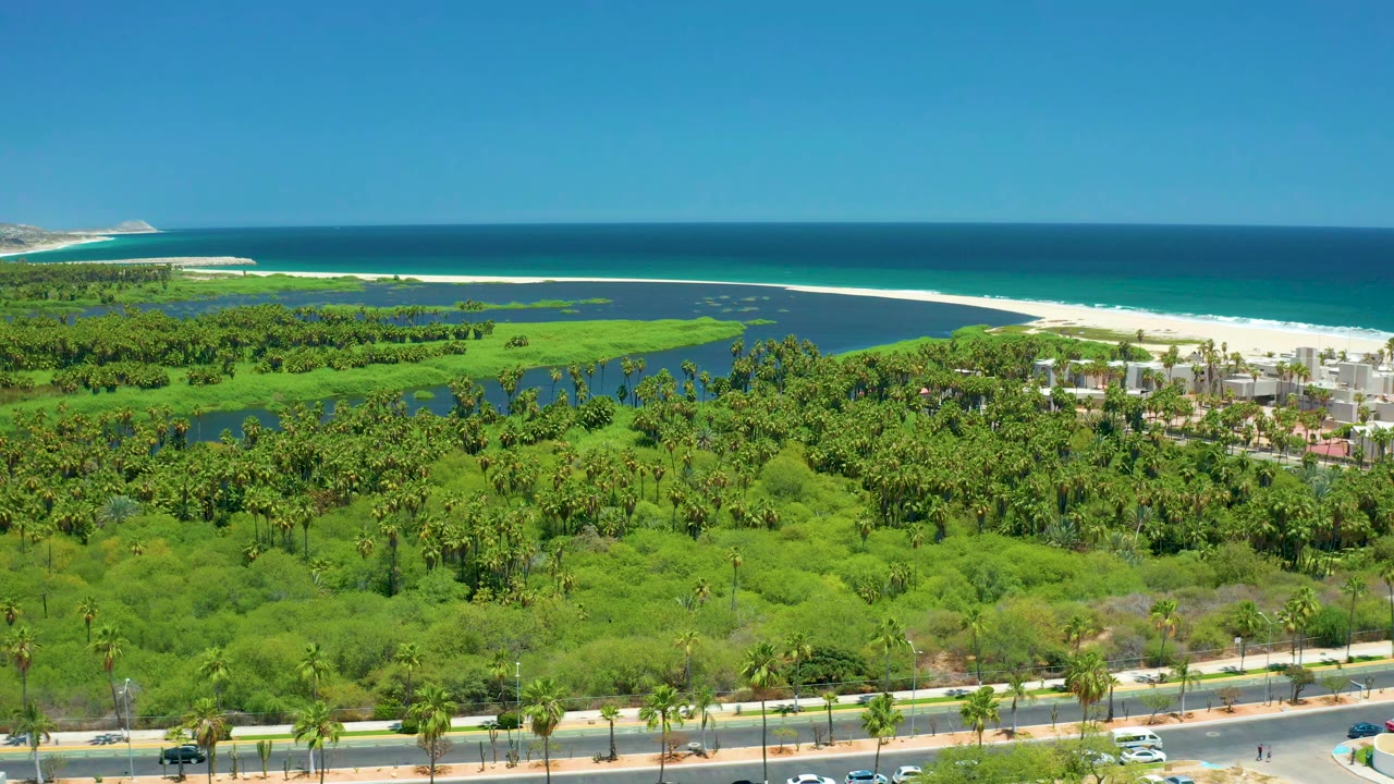 Opening aerial frame over San Jose Del Cabo shows a road with small vehicles at the bottom, dense green palms and mangrove areas, light buildings near the beach, blue ocean, clear sky, and no visible people.