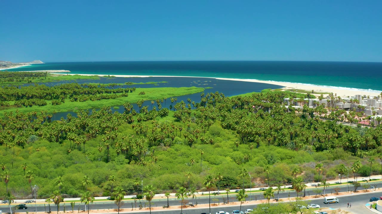 At 0:02, the frame shows San Jose Del Cabo from above with the highway along the lower edge, tropical palms and mangrove greenery through the center, coastal buildings near the sand, ocean beyond, and no visible people.
