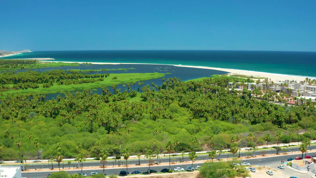 Coastal road below palms, lagoon water, beach, and blue ocean