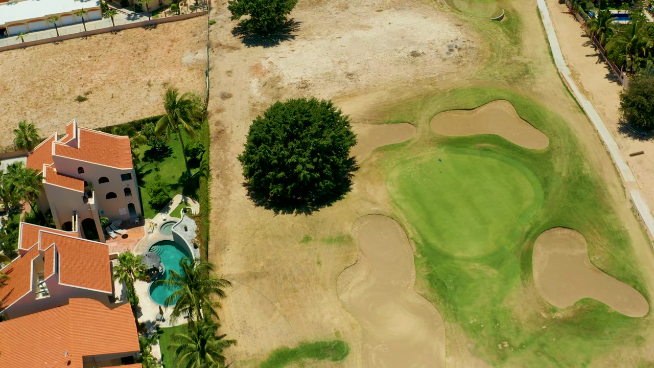 In this San Jose del Cabo frame, the large tree sits near the center-left, the putting green and sand traps fill the right side, and parts of red-roofed homes and a pool stay visible, with no visible people.