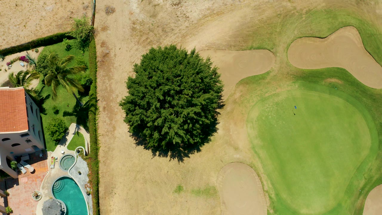 Top-down aerial over a San Jose del Cabo golf green with sand traps, a large tree, dry beige ground, part of a red-roofed house, a pool, and no visible people.