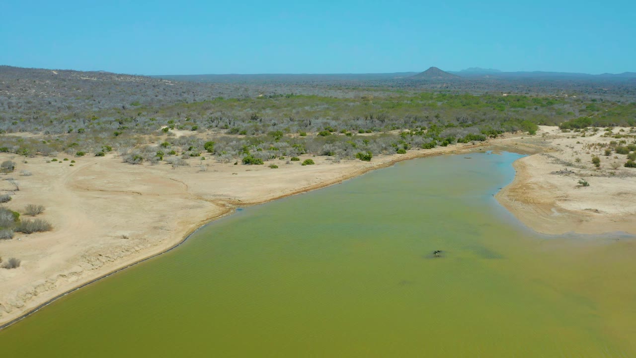 Aerial view in La Laguna Beach Los Cabos with the green water curving past a pale sand point, scrub-covered terrain beyond it, distant hills, blue sky, and no visible people.