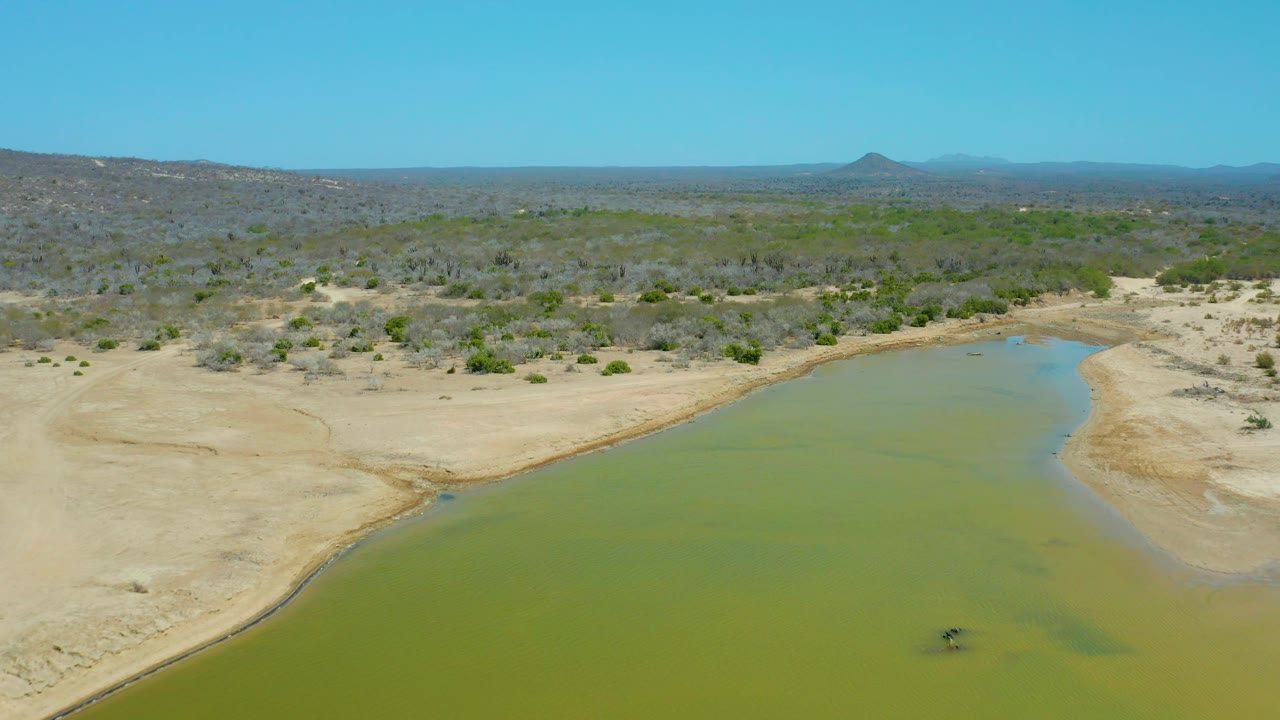 Green lagoon edge with sandy banks and low desert vegetation