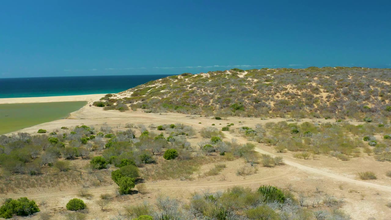 Wide aerial landscape of dry dunes, sparse shrubs, narrow beach, and ocean.