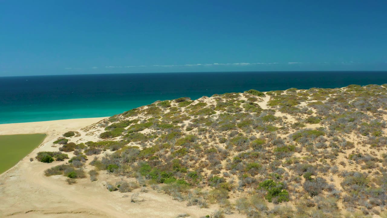 La Laguna Beach Los Cabos appears from above with the dune ridge filling the lower frame, pale sand at the shore, a teal water band, darker ocean beyond, and no visible people.