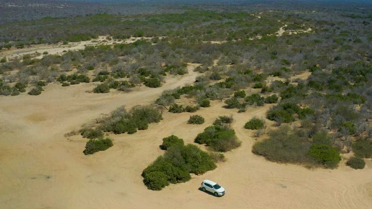 Aerial frame at La Laguna Beach Los Cabos, Mexico, showing a white car near the bottom of the sandy frame, dense patches of shrubs, dry scrub, and no visible people.
