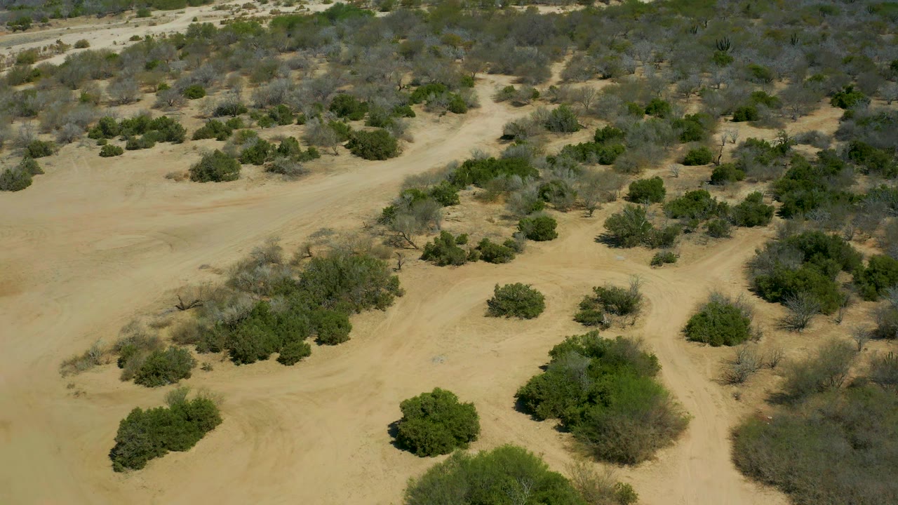 Overhead frame from La Laguna Beach Los Cabos showing light brown sand, low green shrubs, gray brush patches, and no visible people.