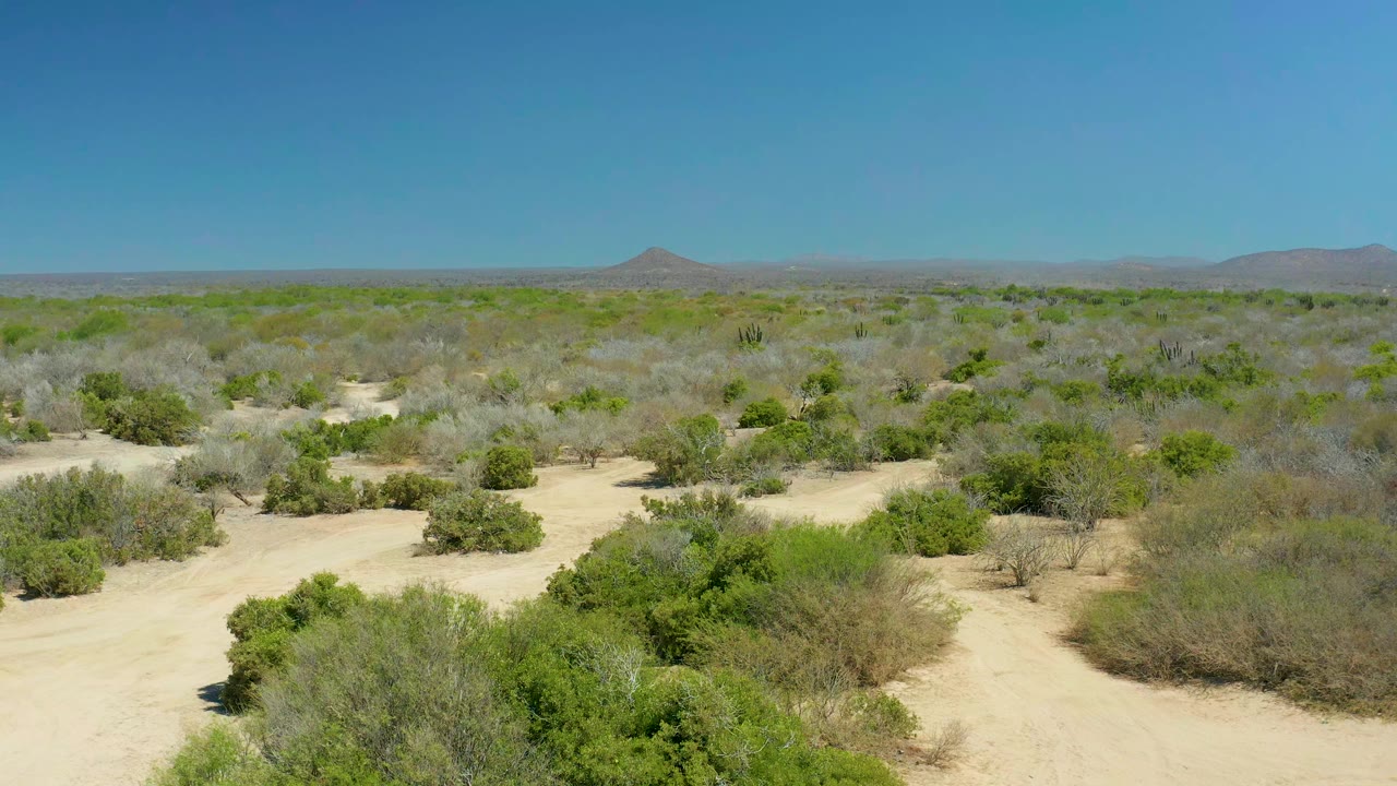 Opening frame of La Laguna Beach Los Cabos desert terrain with pale sand, scattered green shrubs, distant low mountains, and no visible people.
