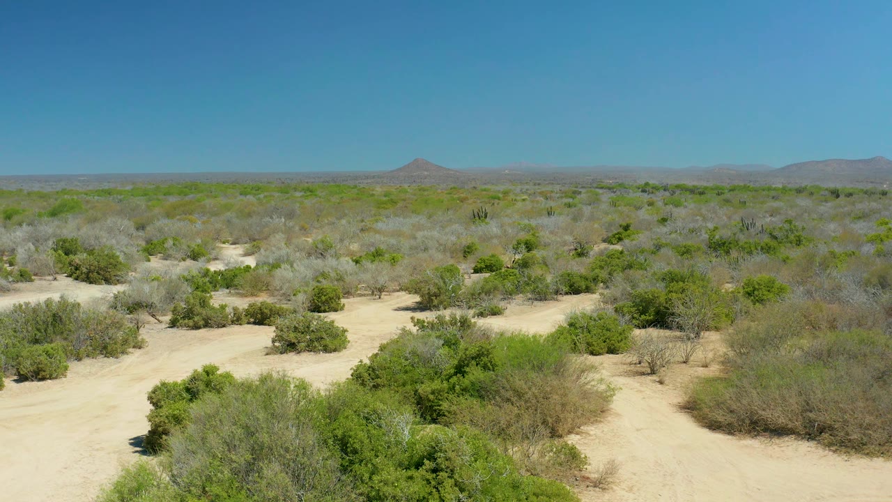 Elevated La Laguna Beach Los Cabos desert view with scattered shrubs, sandy openings through the brush, distant hills, and no visible people.