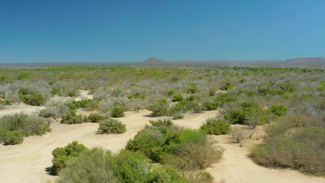 Wide desert scrubland with sandy clearings and low mountains.