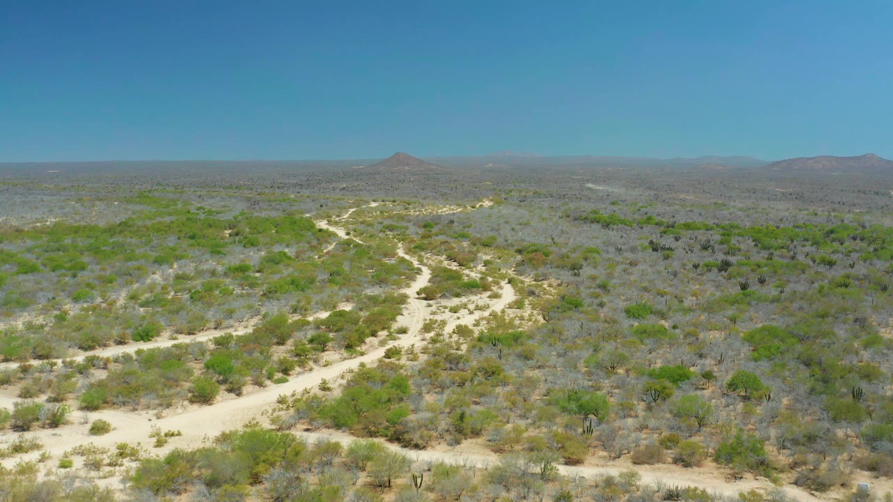A high aerial frame at La Laguna Beach Los Cabos, Mexico, with the dirt road bending from the lower frame into mixed green and gray desert vegetation, no visible people.