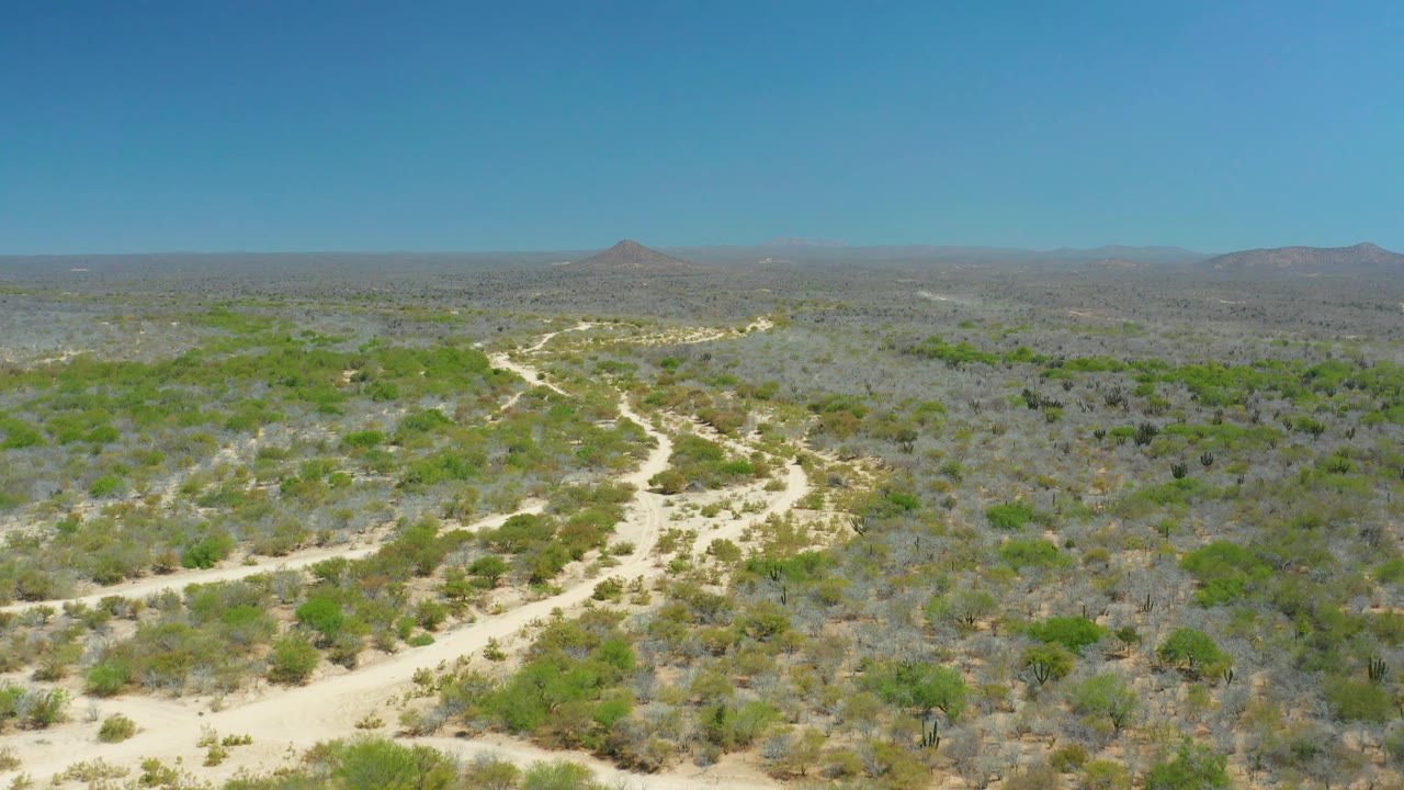 Wide drone view over La Laguna Beach Los Cabos, Mexico, with a sandy road crossing the foreground and midground, scattered desert shrubs, hazy distant hills, and no visible people.