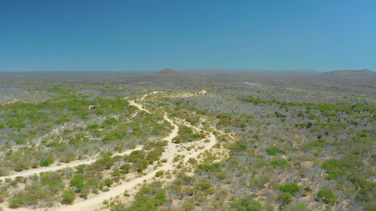 Aerial frame from La Laguna Beach Los Cabos, Mexico, showing the dirt track curving across pale ground between clusters of green shrubs and gray brush, with no visible people.