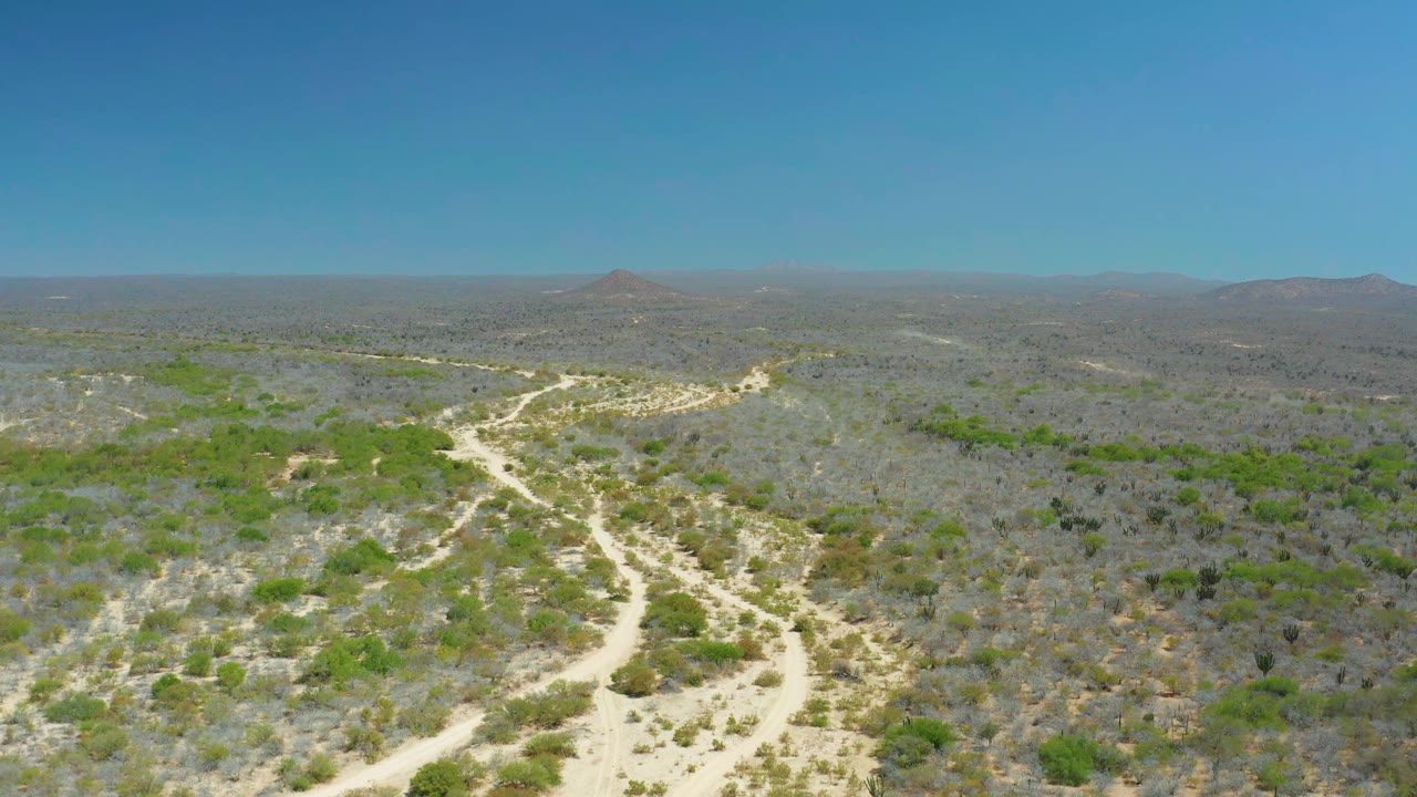 The second frame keeps the aerial view over La Laguna Beach Los Cabos, with a pale track curving through sparse green brush and gray scrub toward a flat horizon, no visible people.