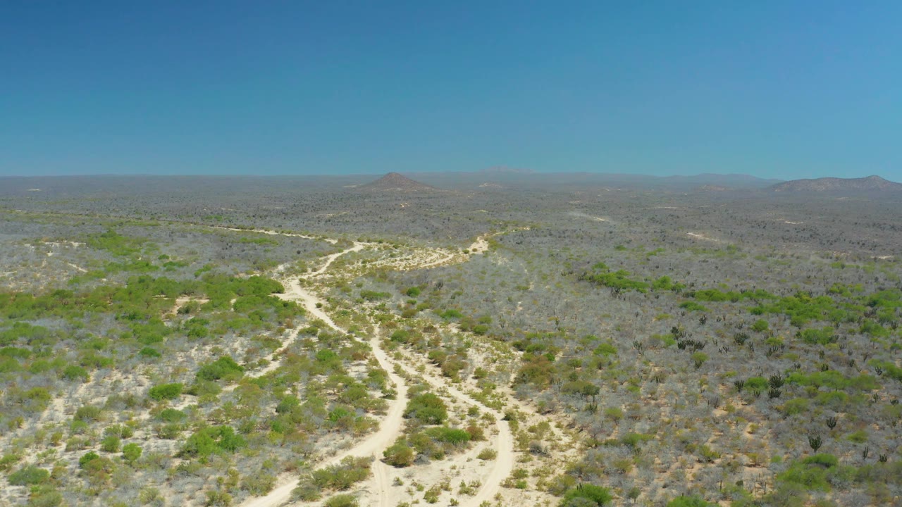 A wide aerial view in La Laguna Beach Los Cabos shows branching sandy tracks, scattered dry brush, green shrubs, and low hills across the background with no visible people.