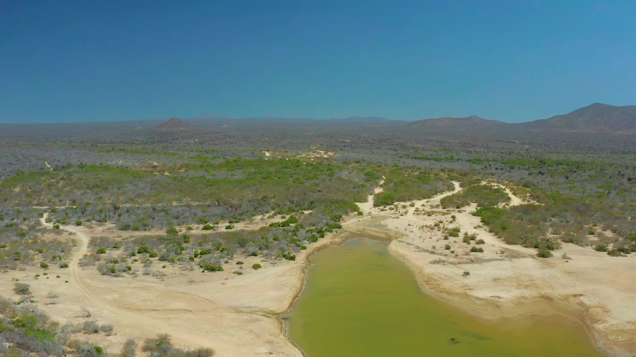 Aerial view over La Laguna Beach Los Cabos showing a green waterhole at the bottom edge, pale sandy banks, sparse scrubland, distant mountains, clear blue sky, and no visible people.