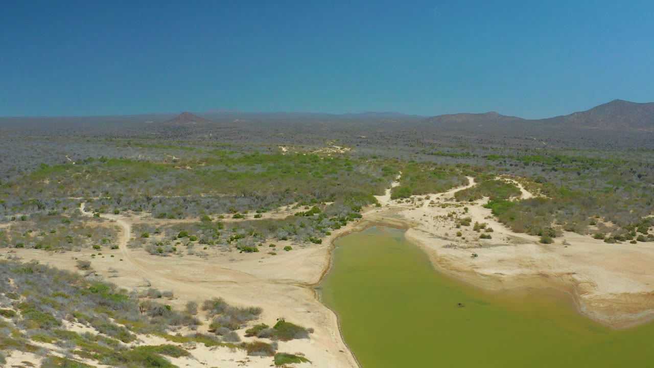 Opening aerial frame over La Laguna Beach Los Cabos showing a green waterhole bordered by pale sand, dry scrubland, distant mountains, clear sky, and no visible people.