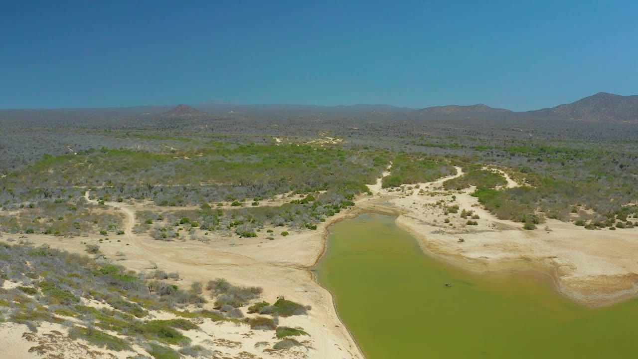 La Laguna Beach Los Cabos aerial view with desert scrub stretching toward a green waterhole, a pale sandy edge, distant low mountains, clear sky, and no visible people.