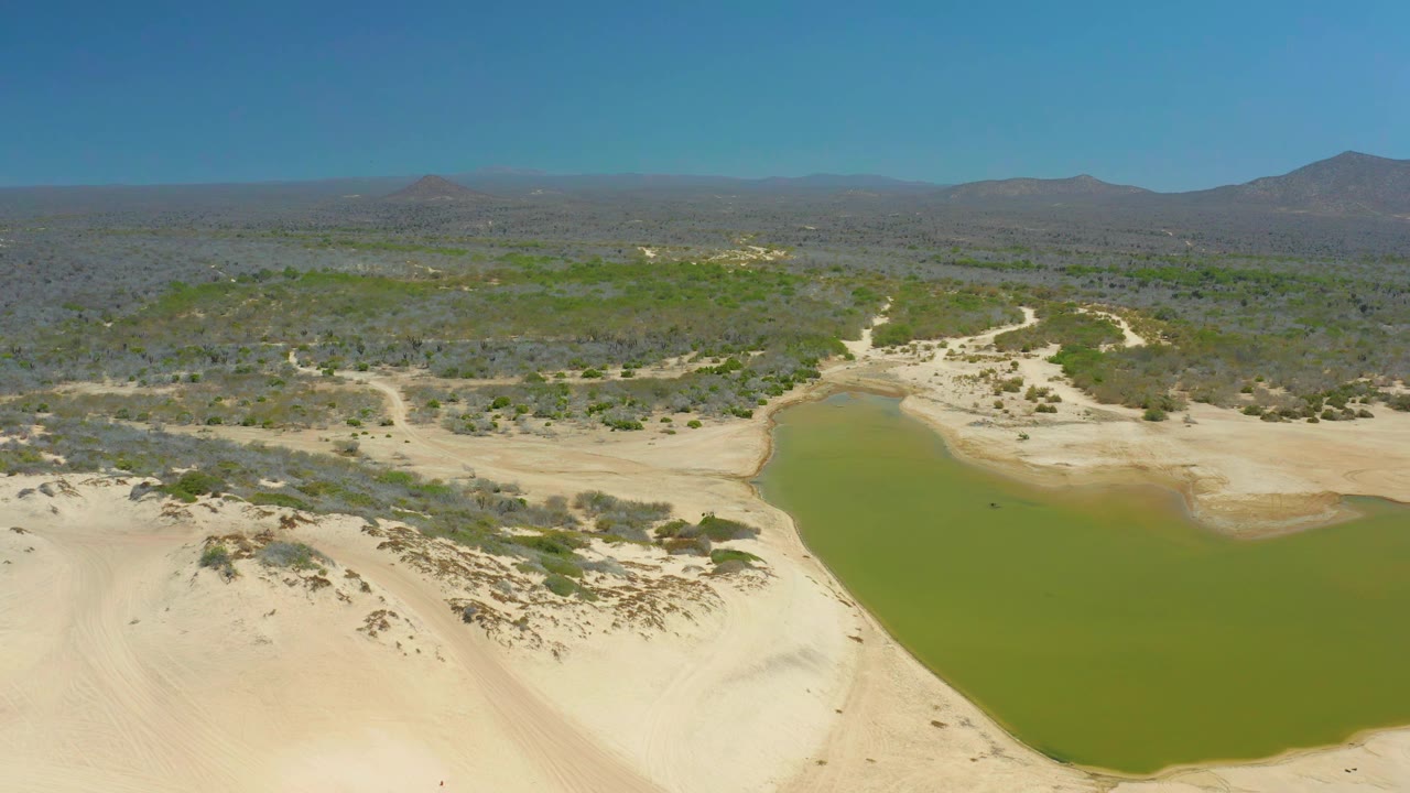 Green water bordered by sandy banks with desert vegetation and mountains beyond