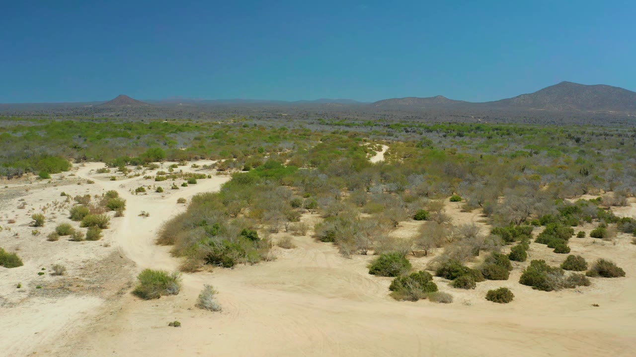 Sandy desert plain with low shrubs and mountains under a clear sky.