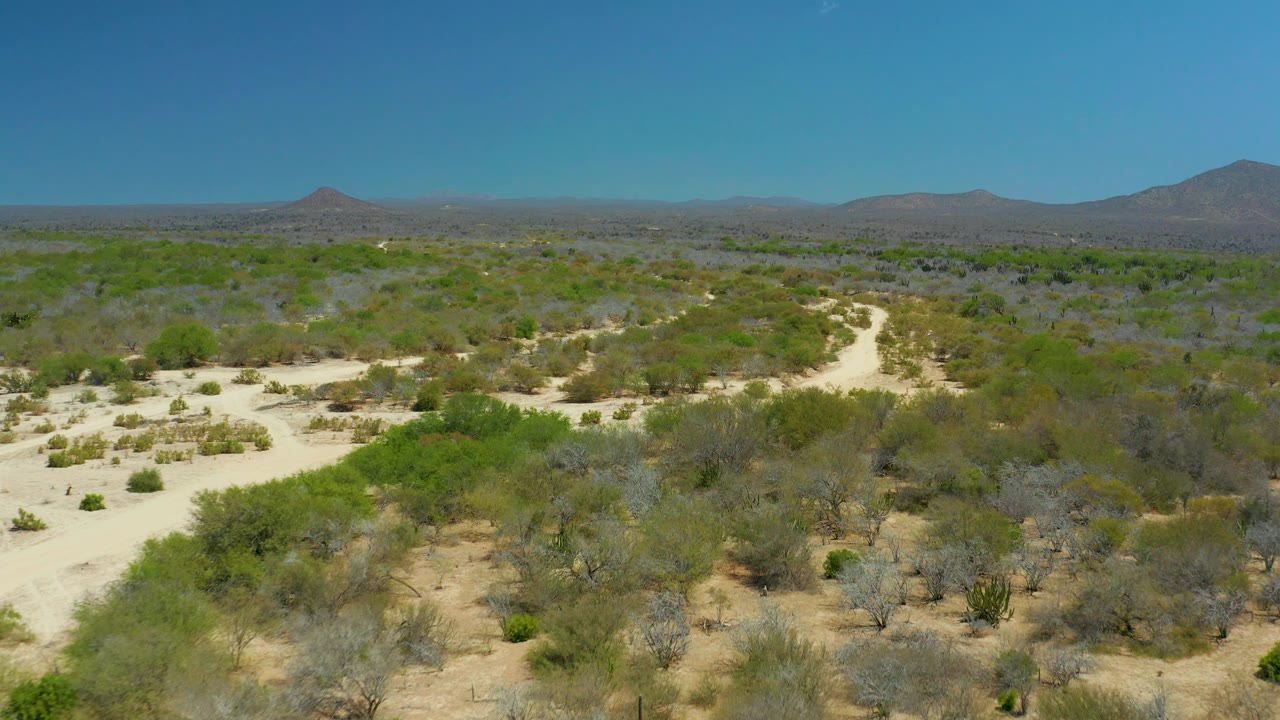 Wide elevated frame over La Laguna Beach Los Cabos desert terrain, with the winding track visible through the midground, patchy green scrub, gray dry brush, and no visible people.