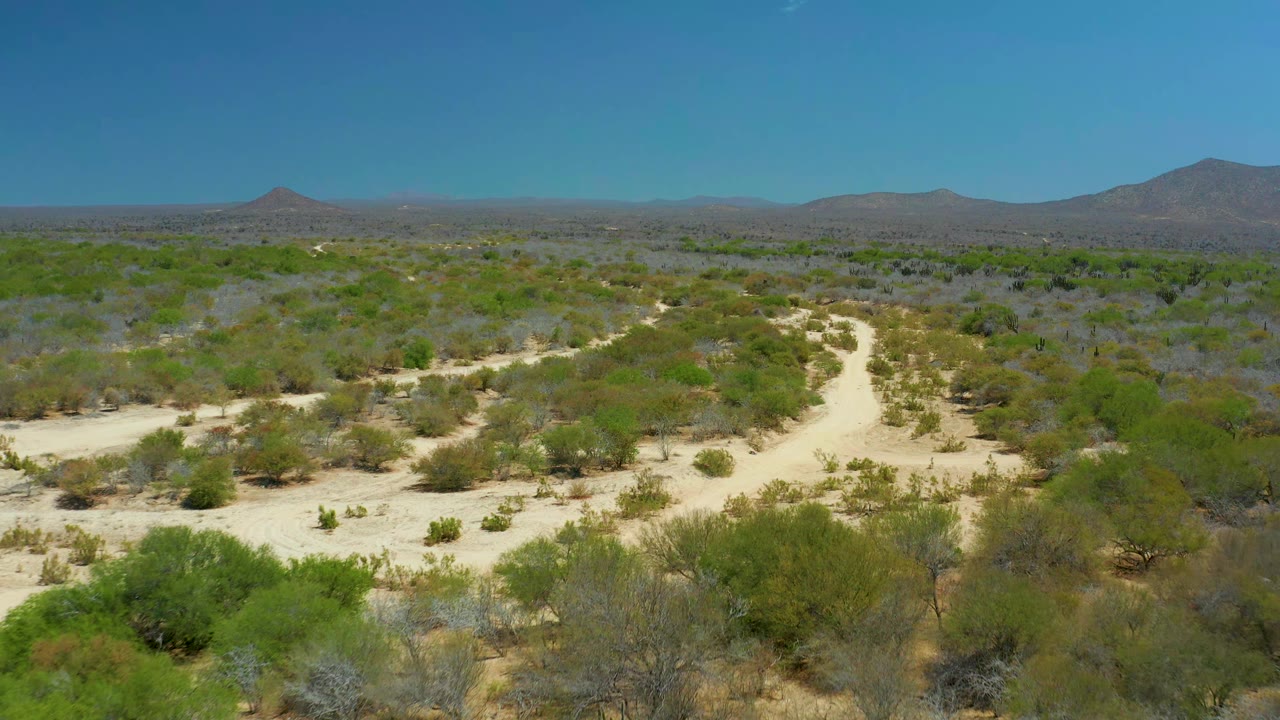 Early aerial frame over La Laguna Beach Los Cabos bushland, showing the sandy trail branching through green-gray scrub with mountains spread along the horizon and no visible people.