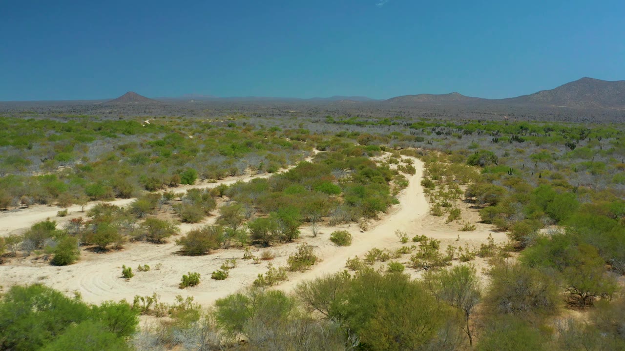Drone-height frame of the La Laguna Beach Los Cabos desert path, with pale sand in the foreground, scattered bushes across the midground, hazy mountains in back, and no visible people.