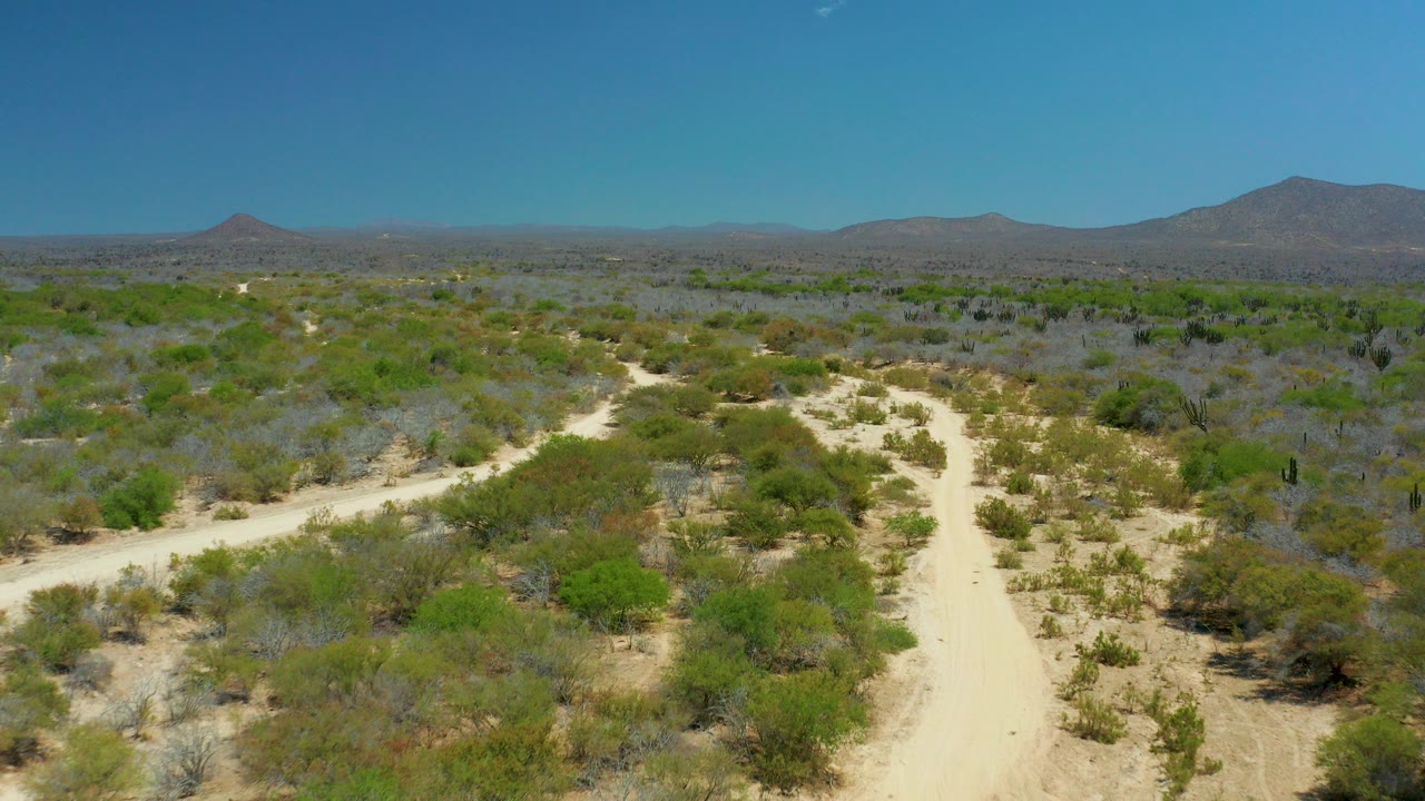 Aerial view of pale dirt roads through desert bushes and distant mountains.