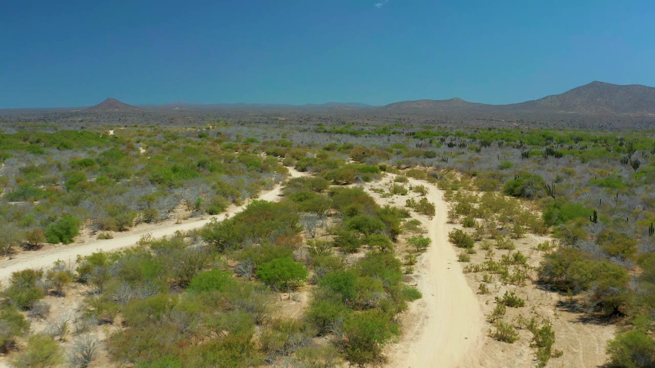 High aerial view in La Laguna Beach Los Cabos with a main dirt road curving through sparse green shrubs and gray brush, backed by low mountains and clear sky, no visible people.